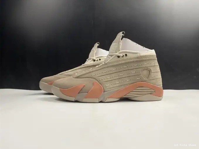Low Blush 14 Retro Clot DC9857-200 Jordan AIR Terra 0510